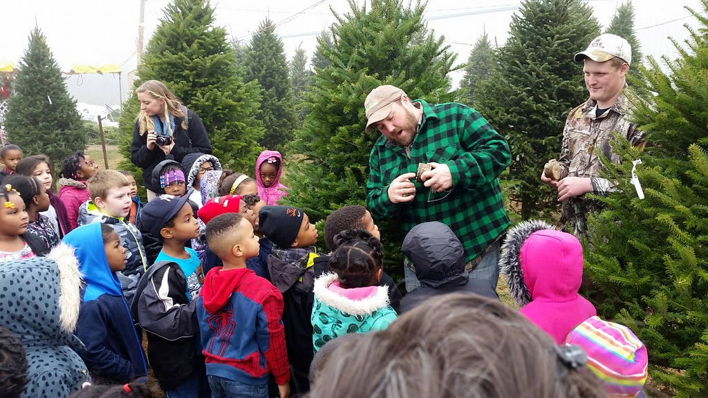 Dave's Maine Christmas Trees and Wreaths, Lynchburg, Virginia