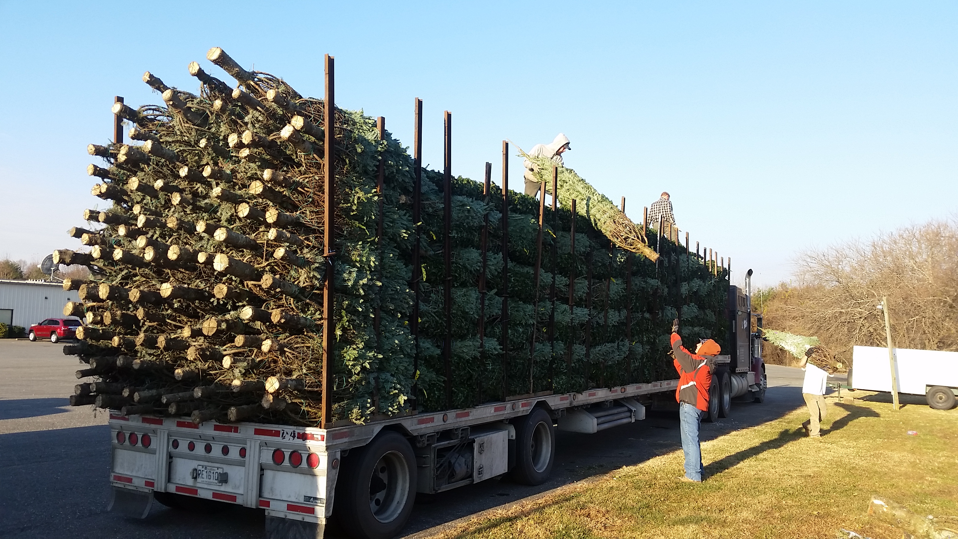 Dave's Maine Christmas Trees and Wreaths, Lynchburg, Virginia
