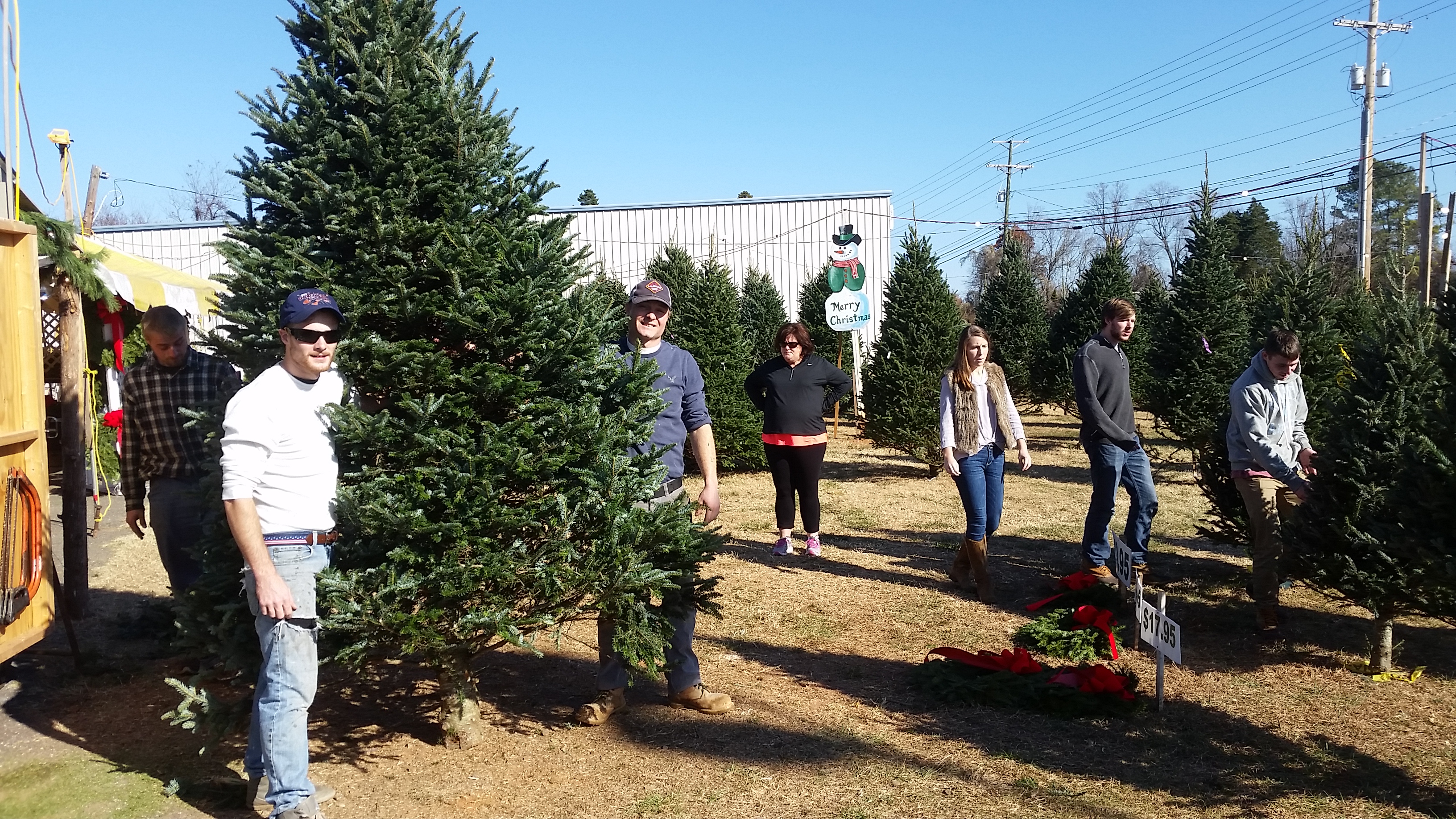 Dave's Maine Christmas Trees and Wreaths, Lynchburg, Virginia