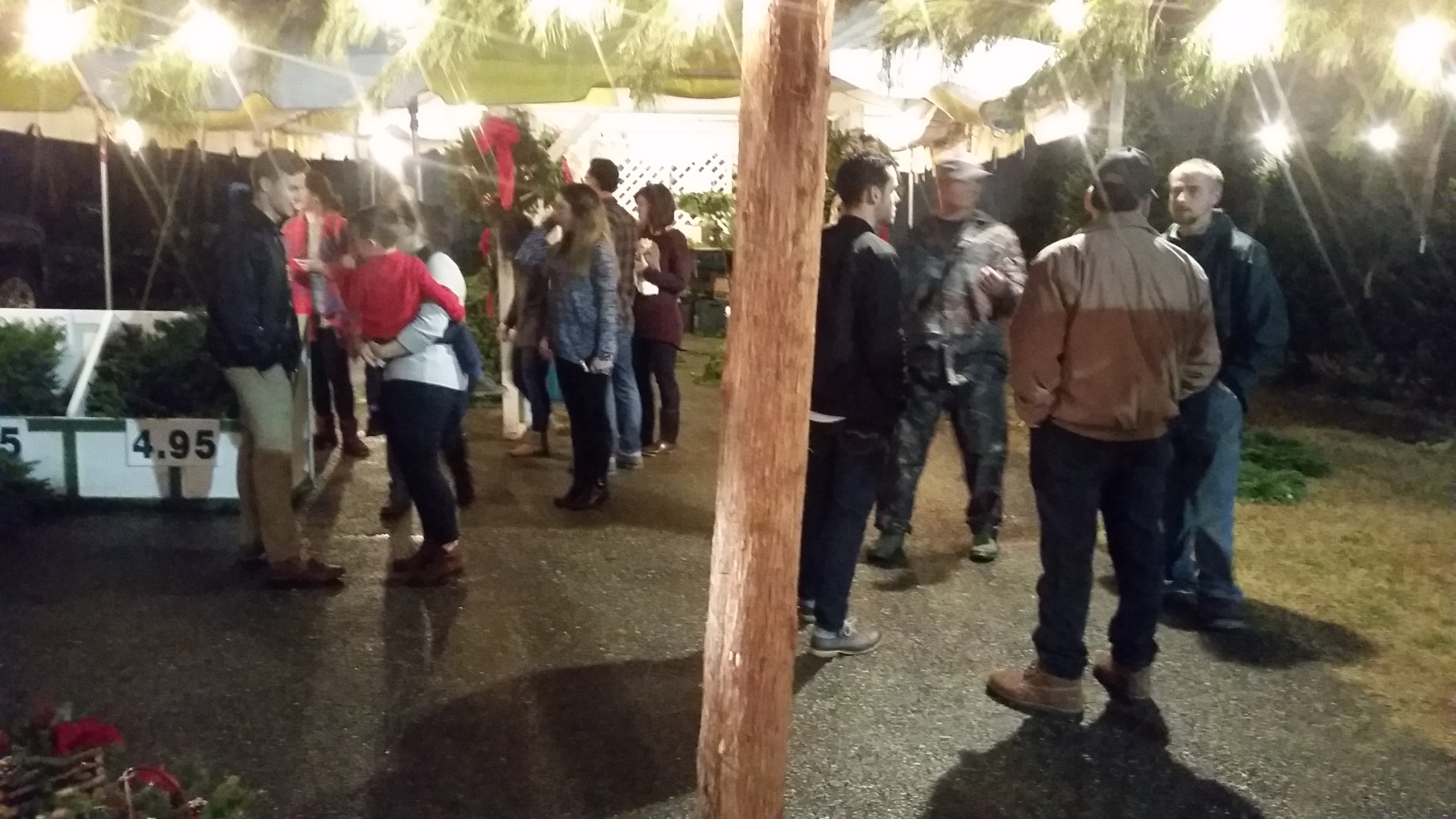 Dave's Christmas Trees Lynchburg Va at Roger Mooney blog