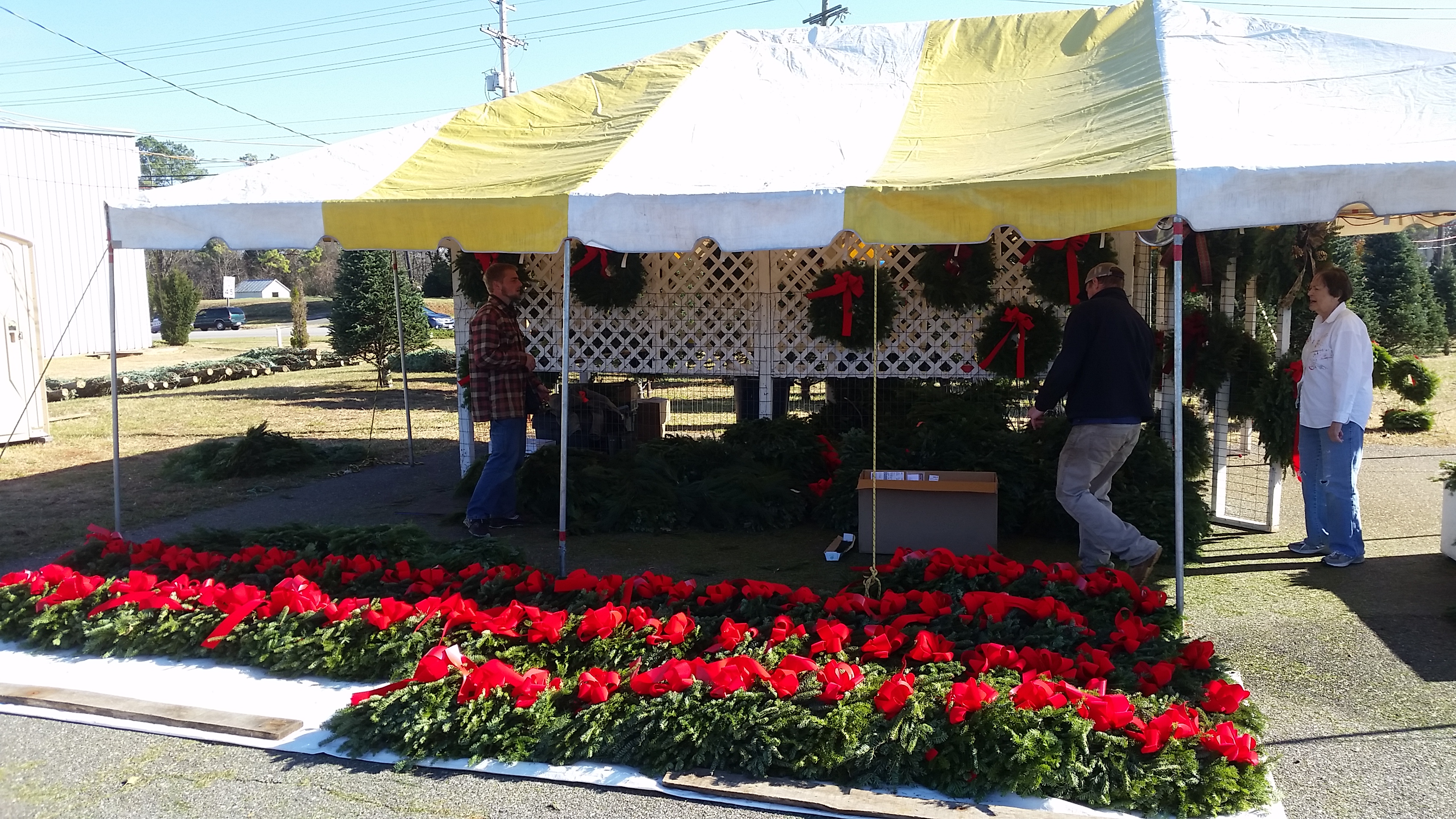 Dave's Maine Christmas Trees and Wreaths, Lynchburg, Virginia