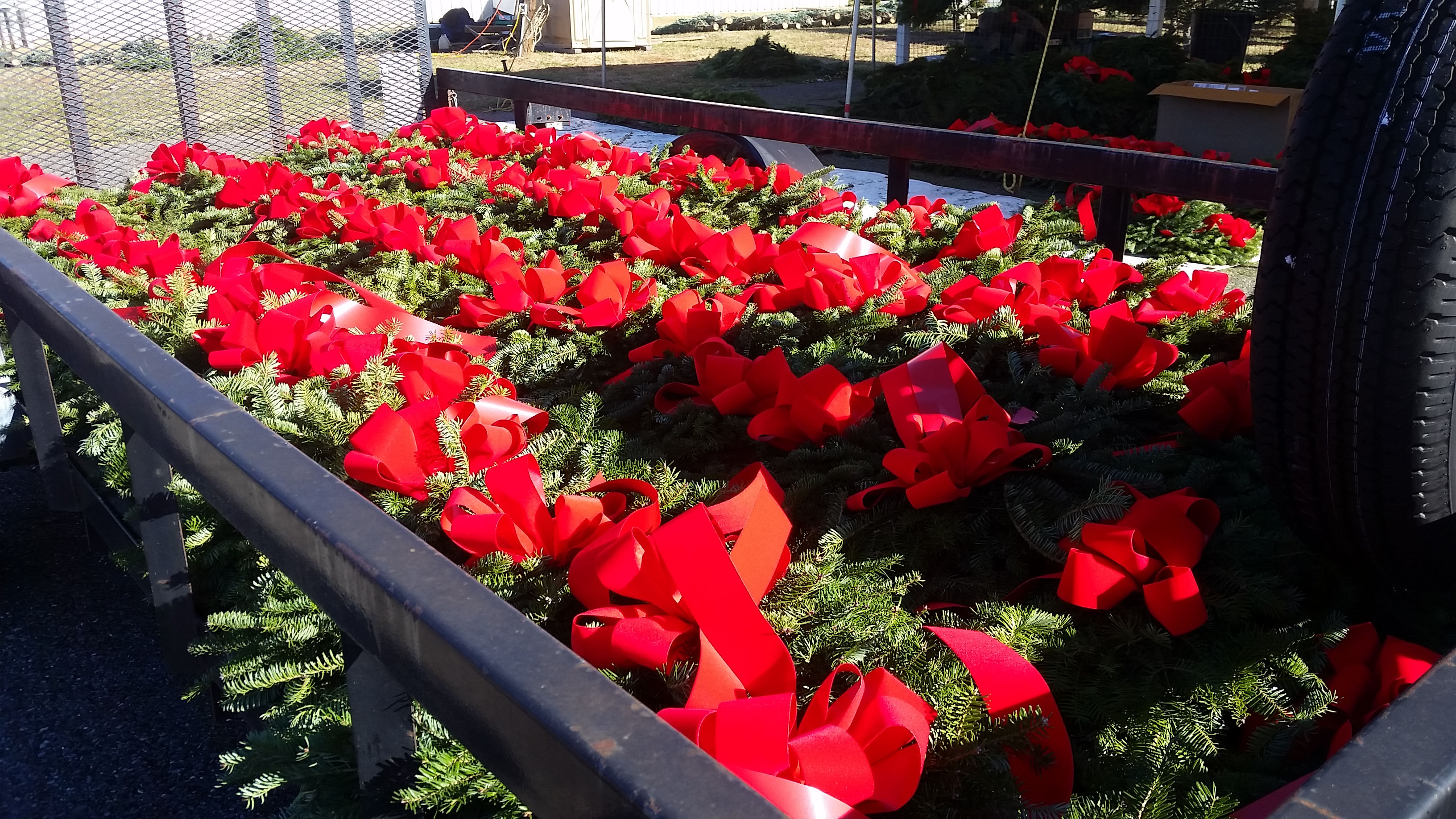 Dave's Christmas Trees Lynchburg Va at Roger Mooney blog