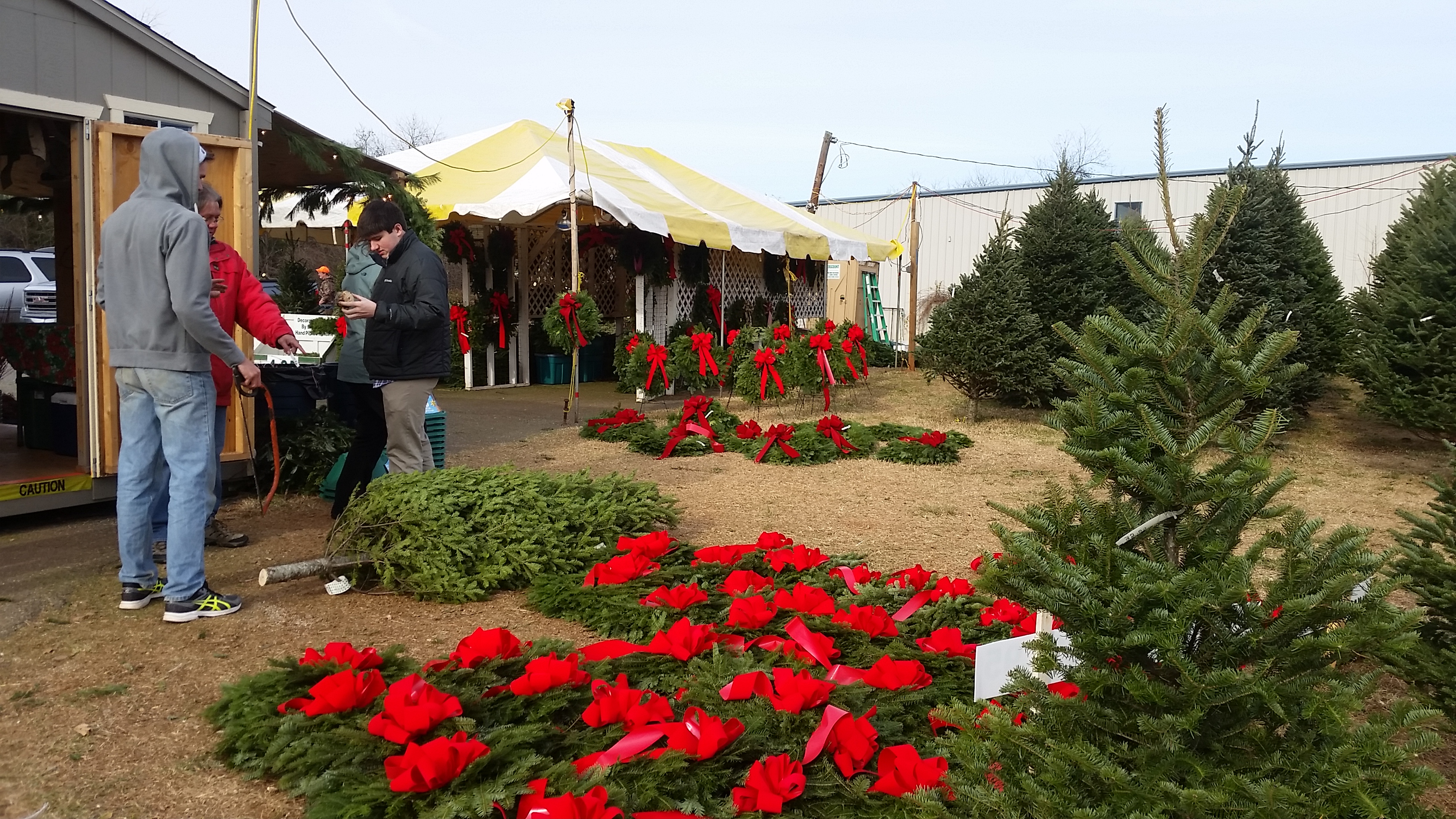 Dave's Maine Christmas Trees and Wreaths, Lynchburg, Virginia