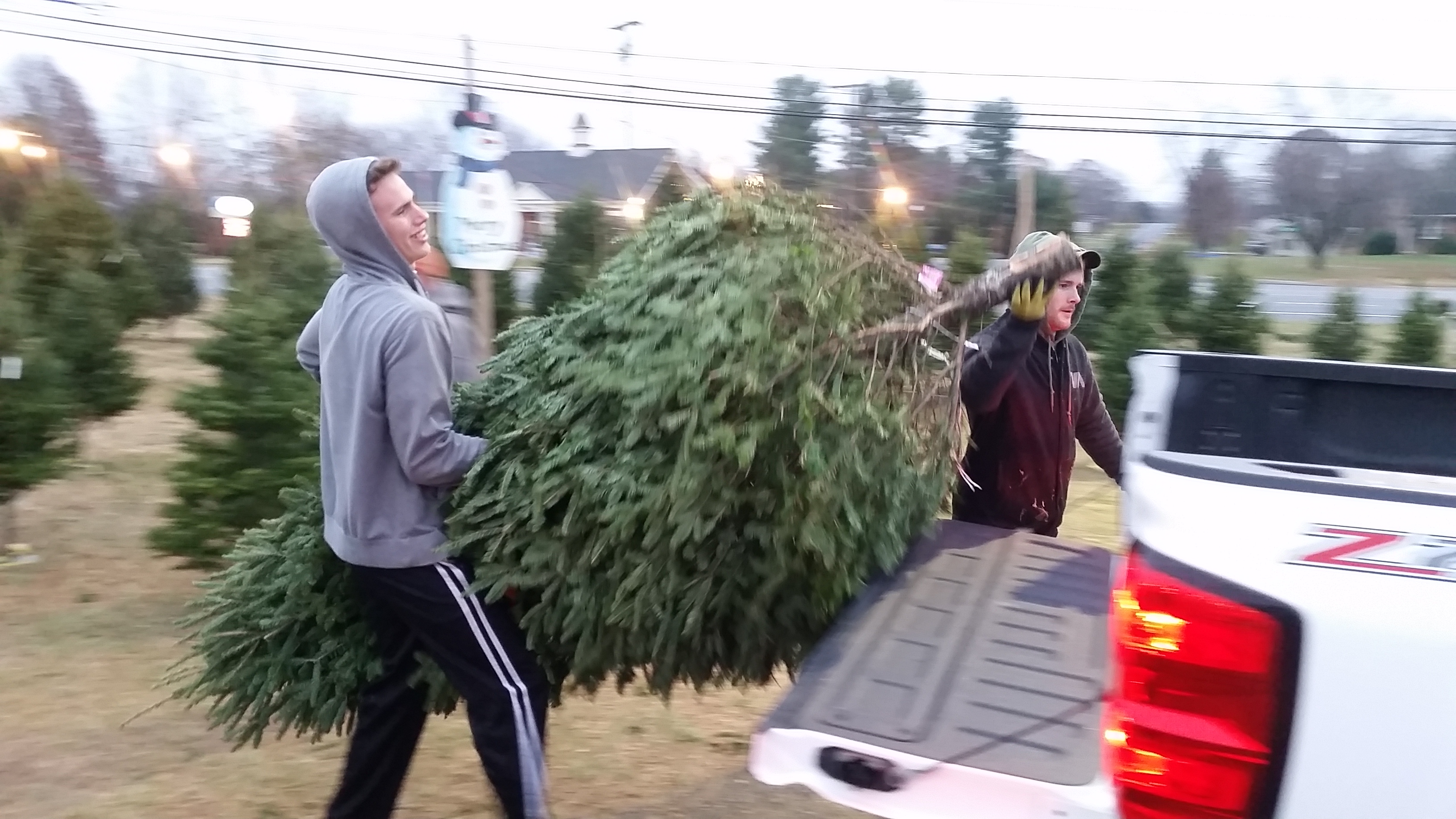 Dave's Maine Christmas Trees and Wreaths, Lynchburg, Virginia