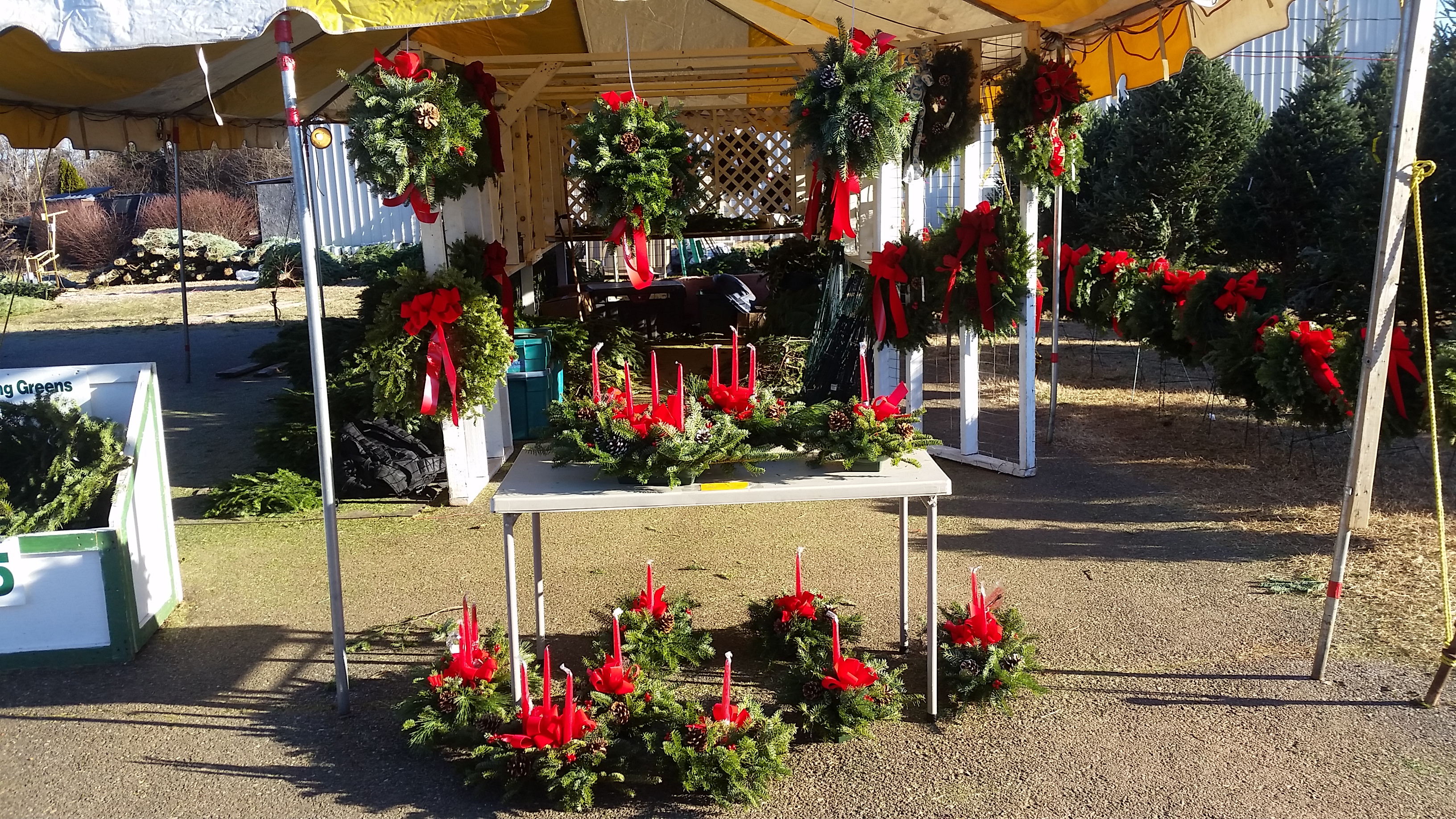 Dave's Maine Christmas Trees and Wreaths, Lynchburg, Virginia