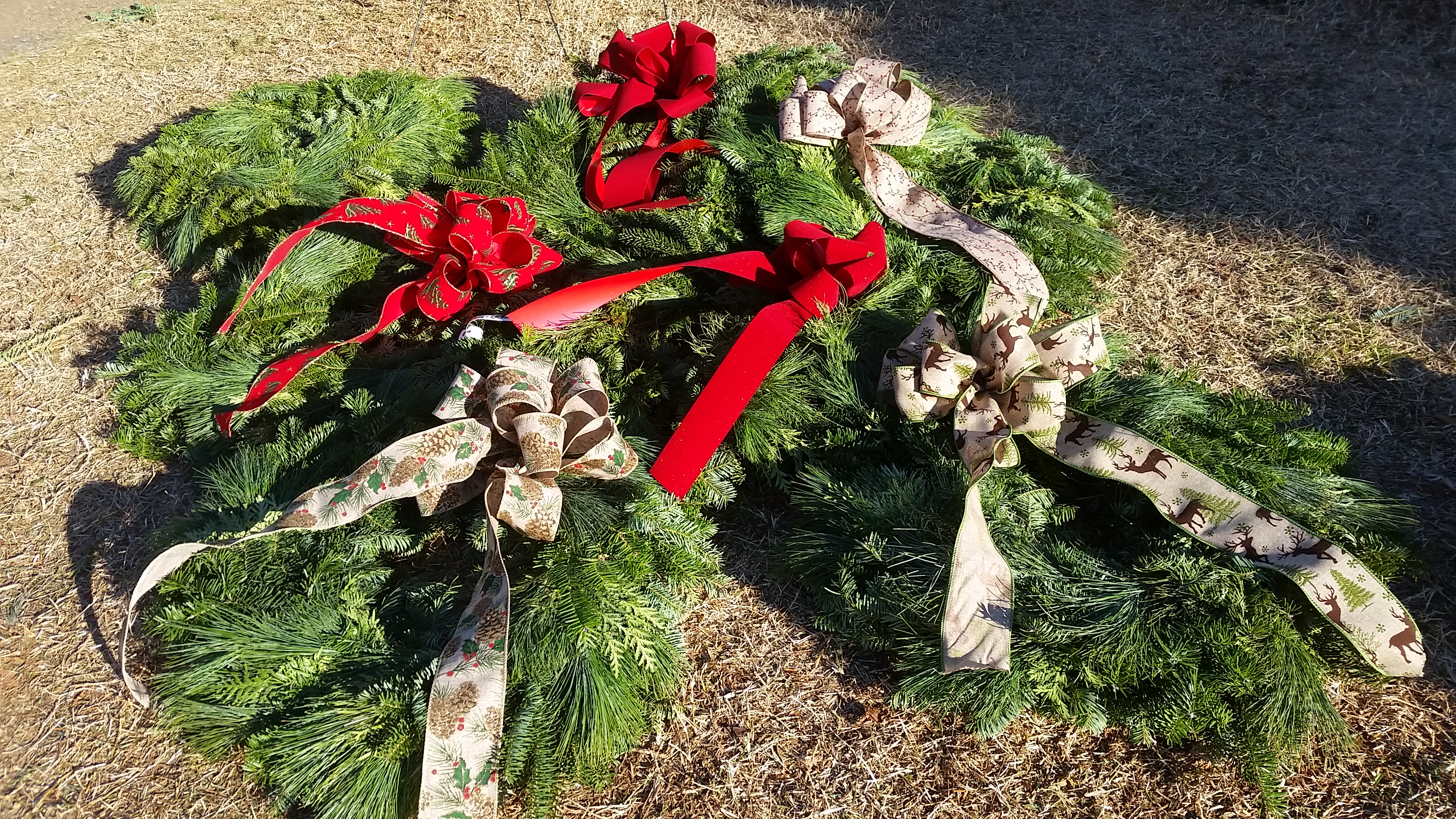Dave's Maine Christmas Trees and Wreaths, Lynchburg, Virginia