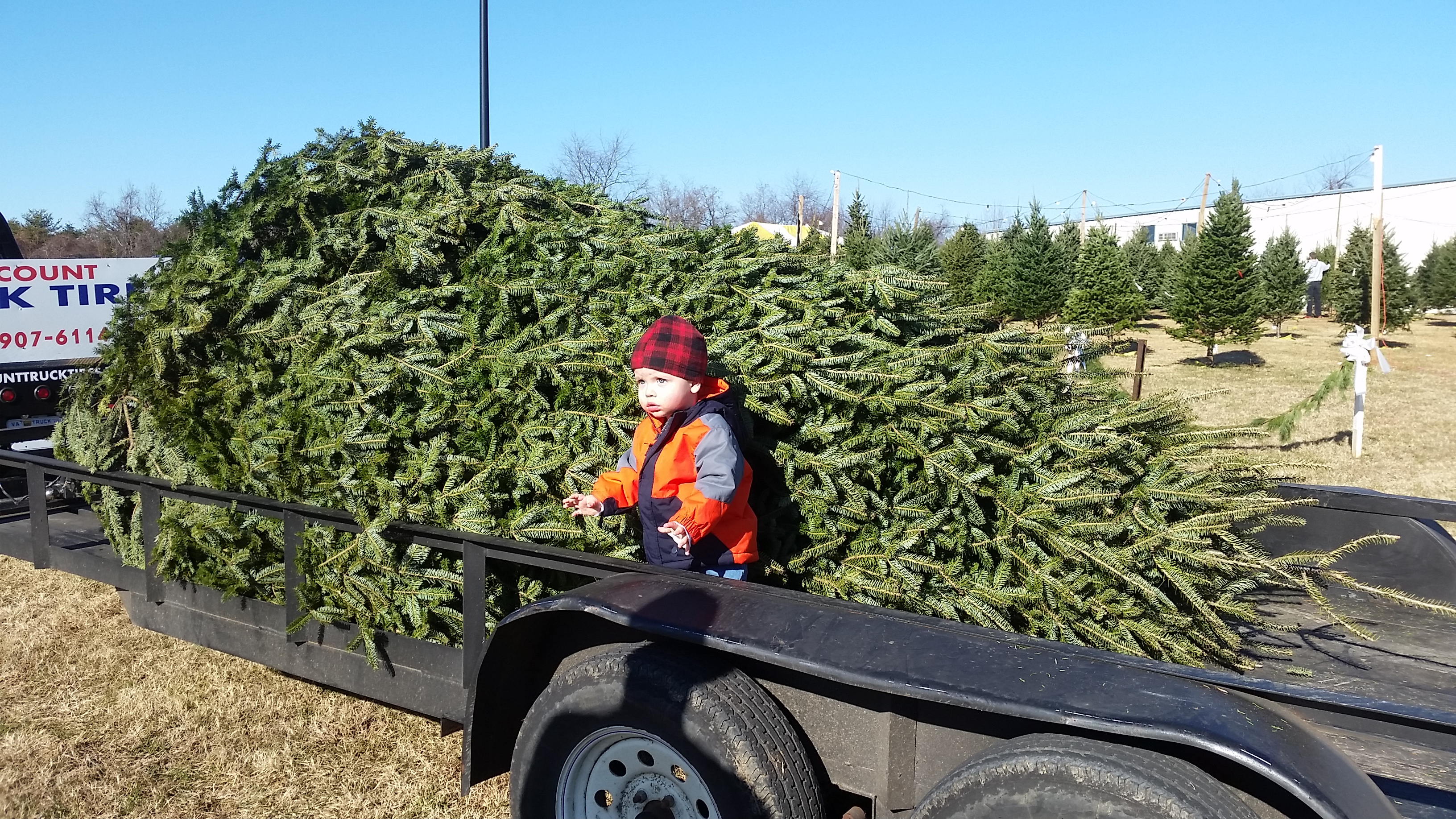 Dave's Maine Christmas Trees and Wreaths, Lynchburg, Virginia