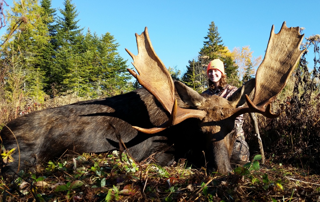 Maine Moose Hunting Outfitter & Guide, WMD 1,2,4,5,11