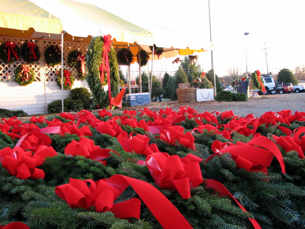 Dave's Maine Christmas Trees and Wreaths, Lynchburg, Virginia
